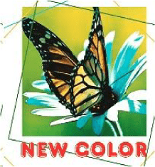 new-color-publicite.fr